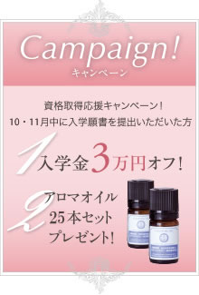 Campaign!キャンペーン